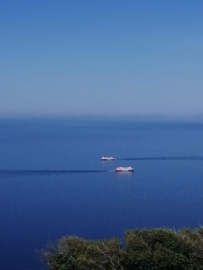 Appartement Aegean Deep Blue Andros Ano Aprovato Extérieur photo